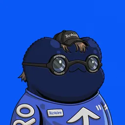DSNR #295