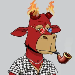 Lazy Bull Club #43