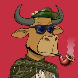 Lazy Bull Club #54