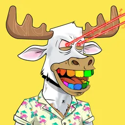 Lazy Bull Club #55