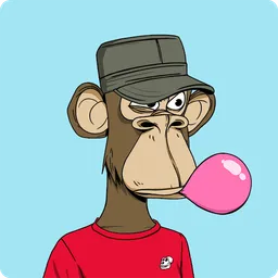 #243