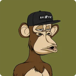 #339